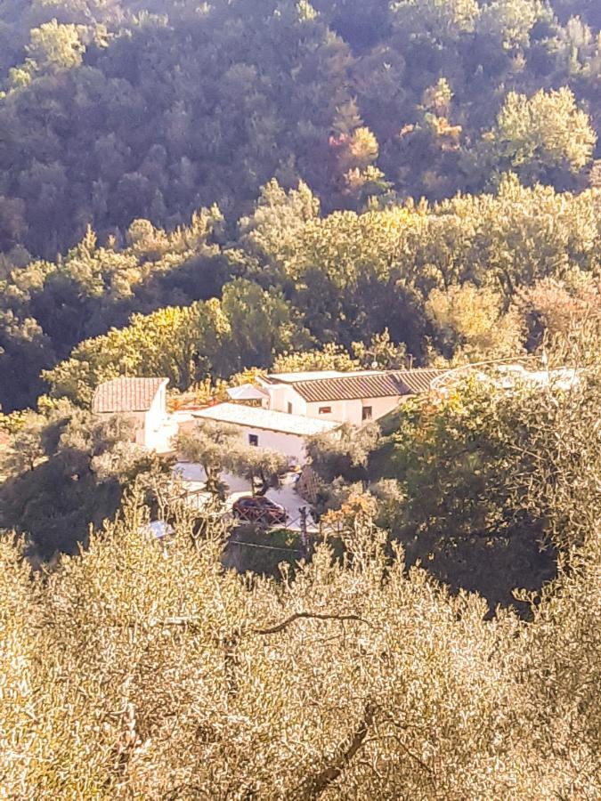 La Dimora Degli Angeli Bed & Breakfast Perugia Dış mekan fotoğraf